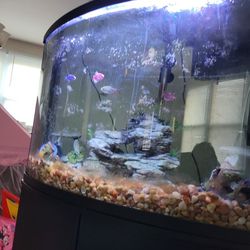 32 Gallon Fish Tank