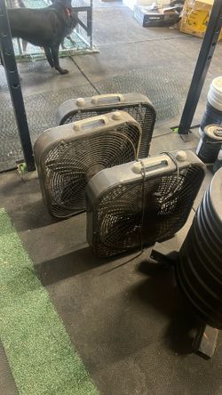 3 Box Fans