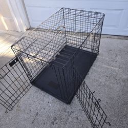 large dog crate