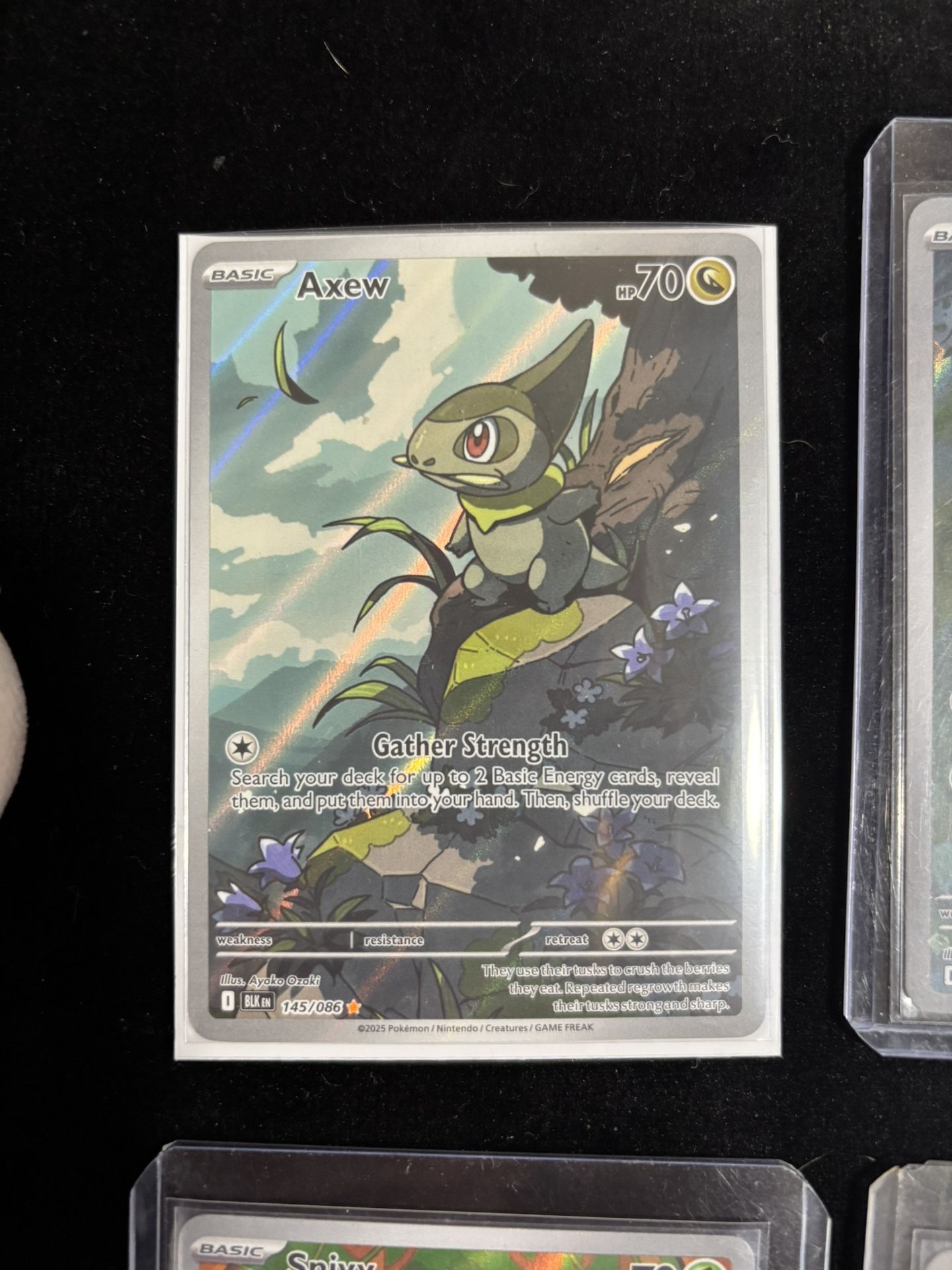 Black Bolt & White Flare Pokemon Cards