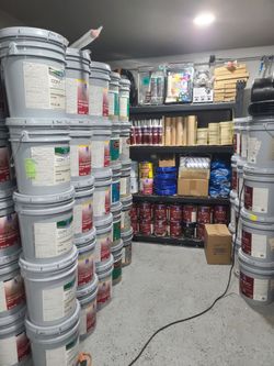 Paint for sale