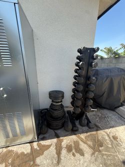 Weights and Excercise Equipment