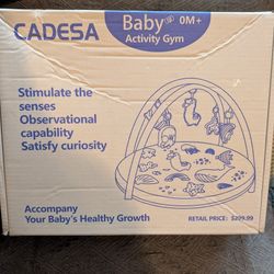 Baby Activity Gym 