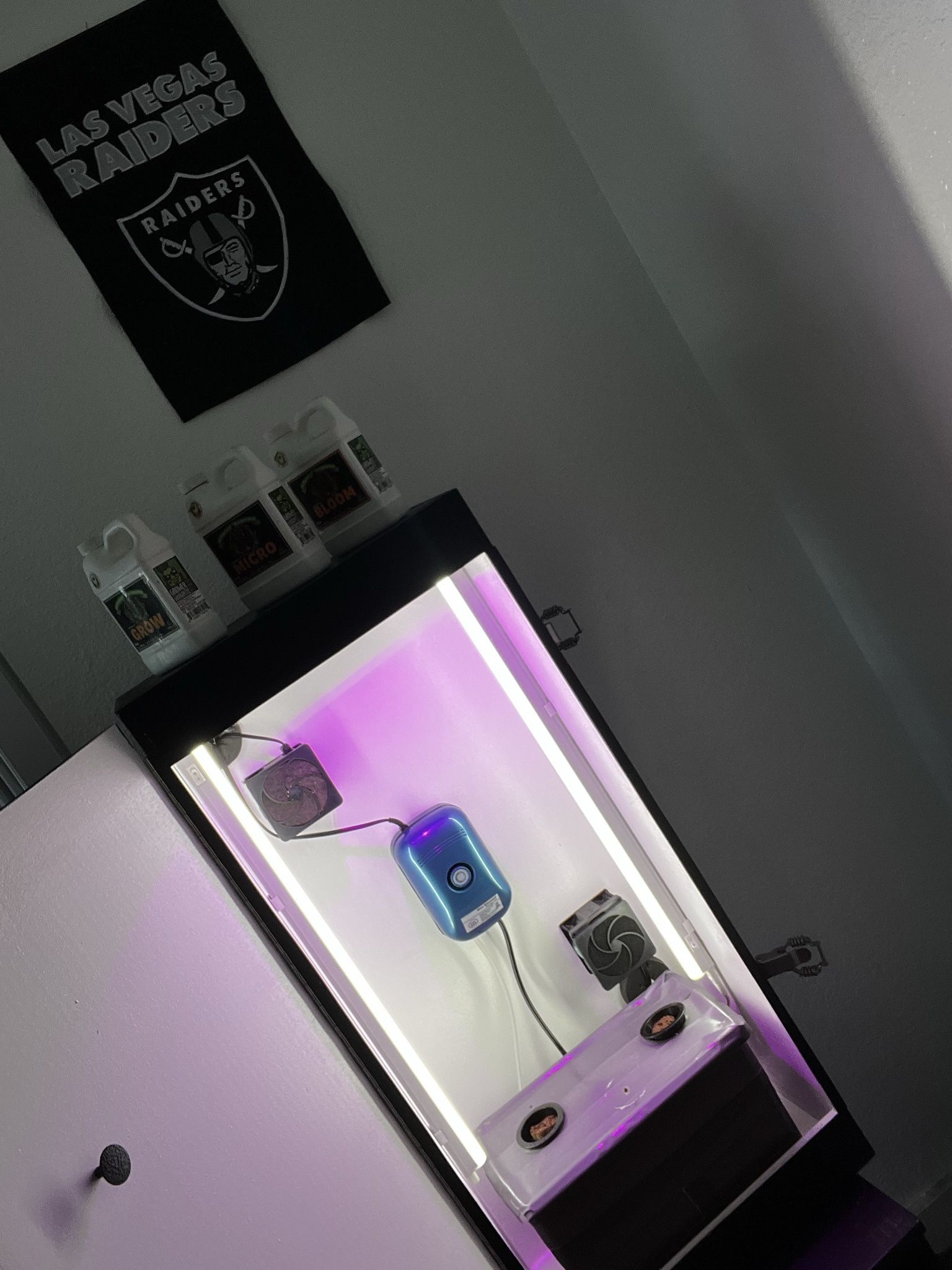 Cash Crop Hydro Grow box 