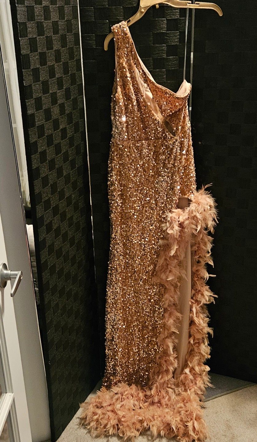 Sequin Feather 🪶 Dress
