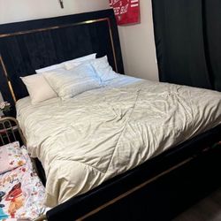 Queen Black And Gold Bed frame