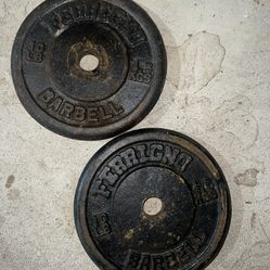 Vintage Ferrigno Weight Plates 10lb Pair $25