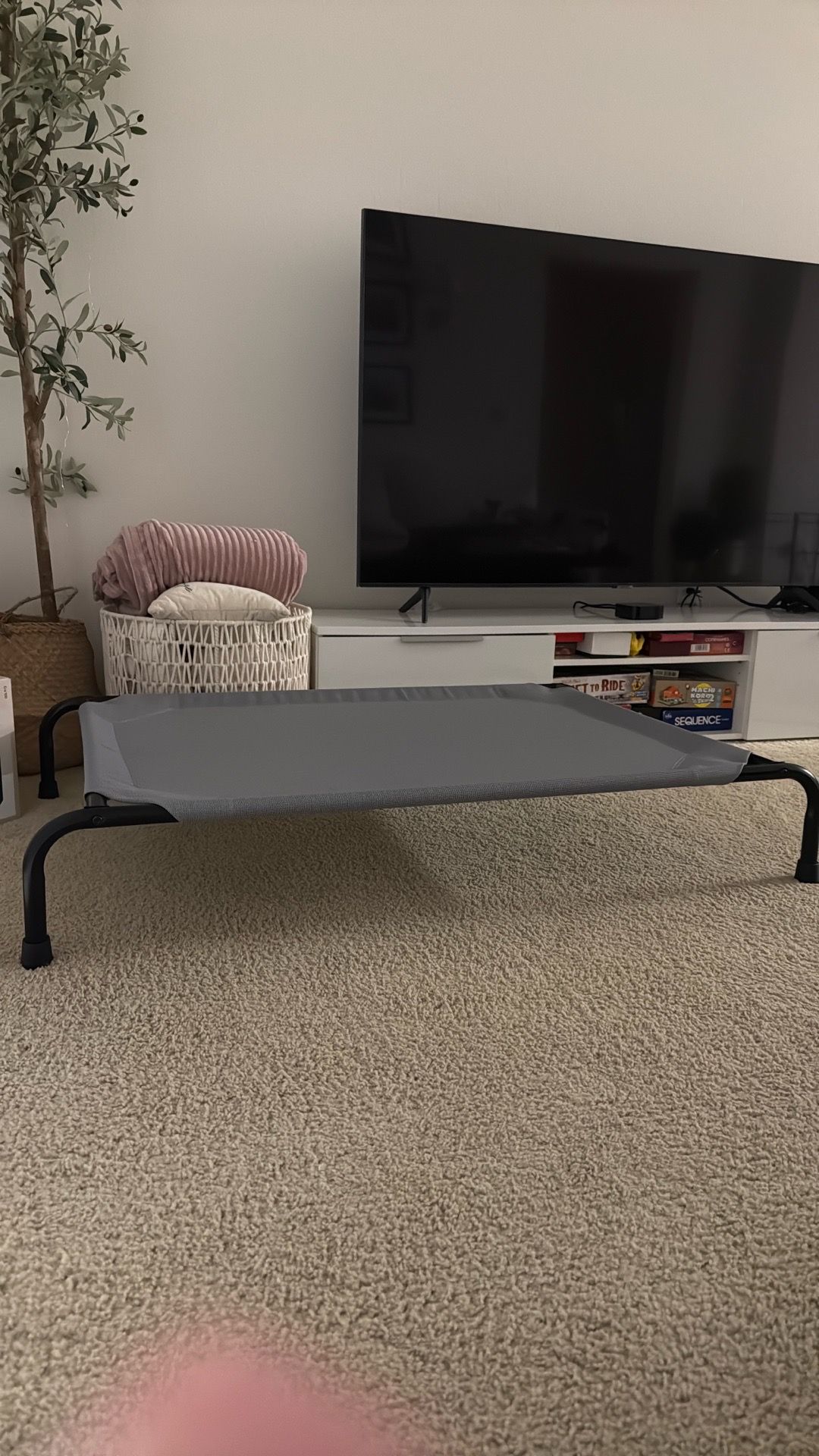 Dog bed