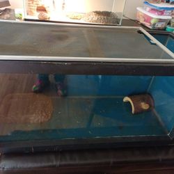 Reptile Tank