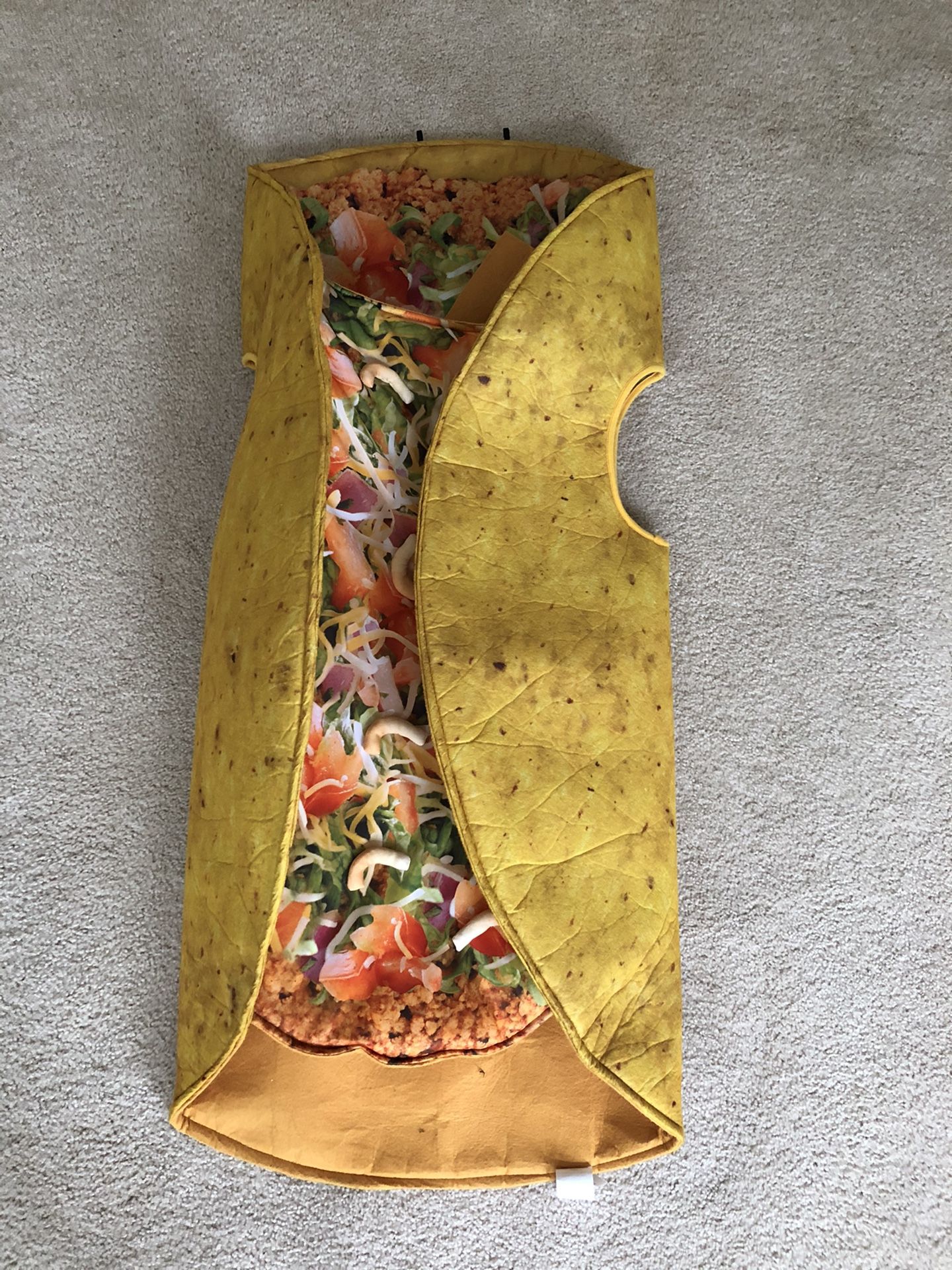 Halloween Costume - Taco