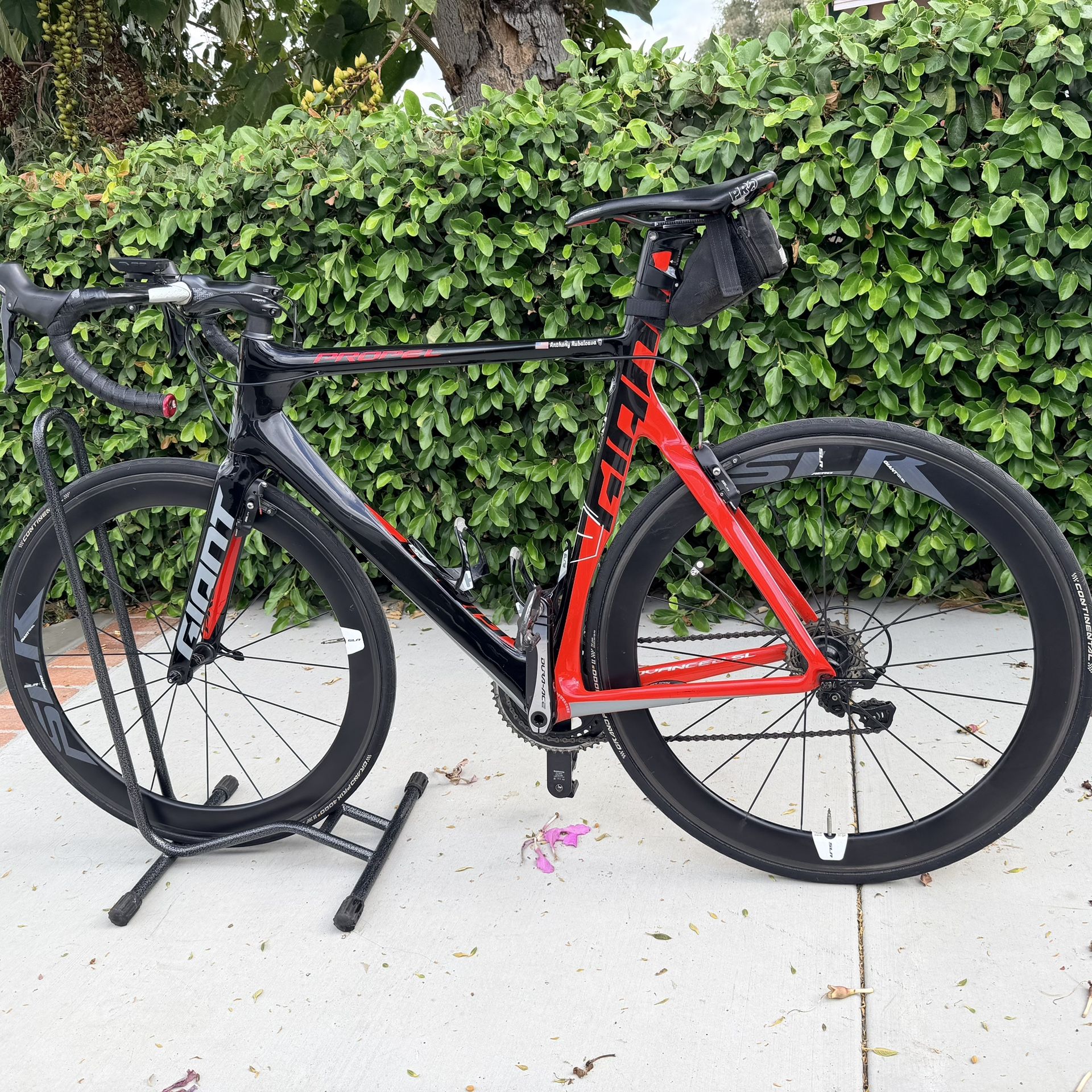 Giant Propel Race Ready Carbon Bike