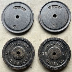 100lbs Cast Iron Weights 