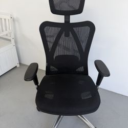 Ergonomic Office Chair