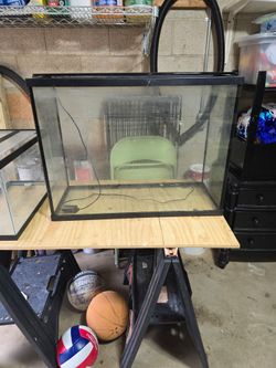 25 gal tank