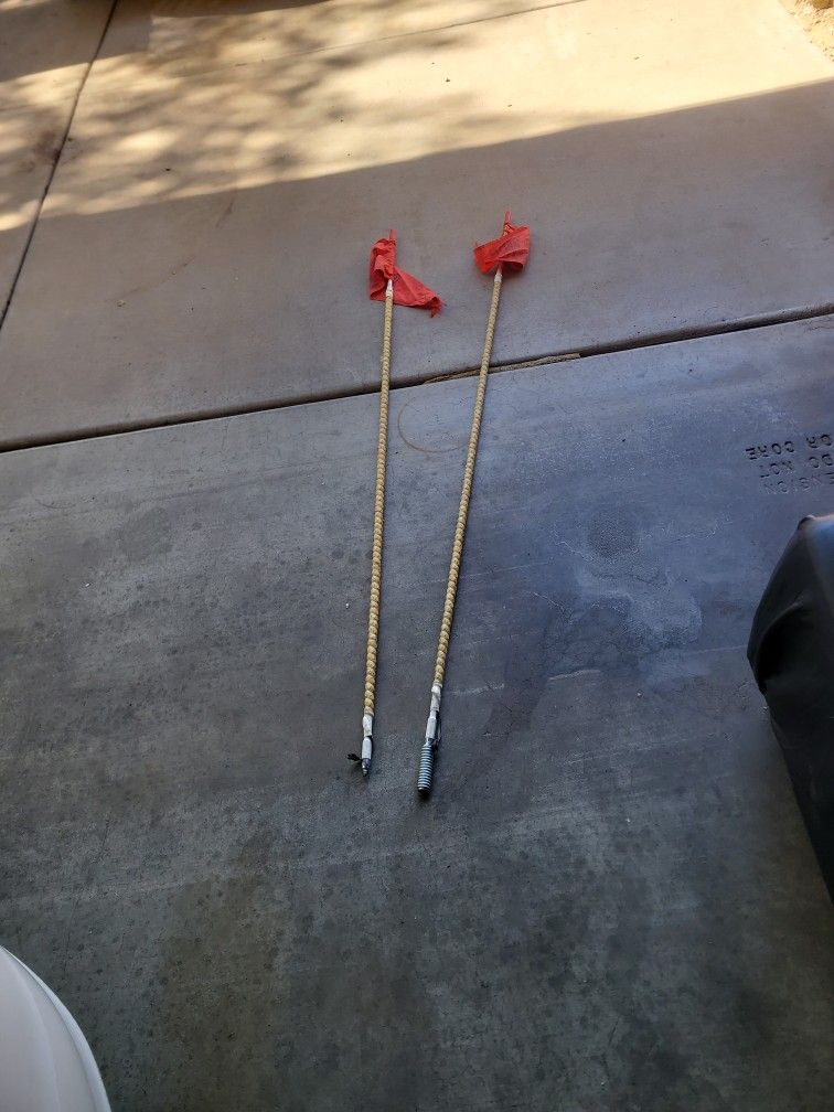 L.E.D light rods