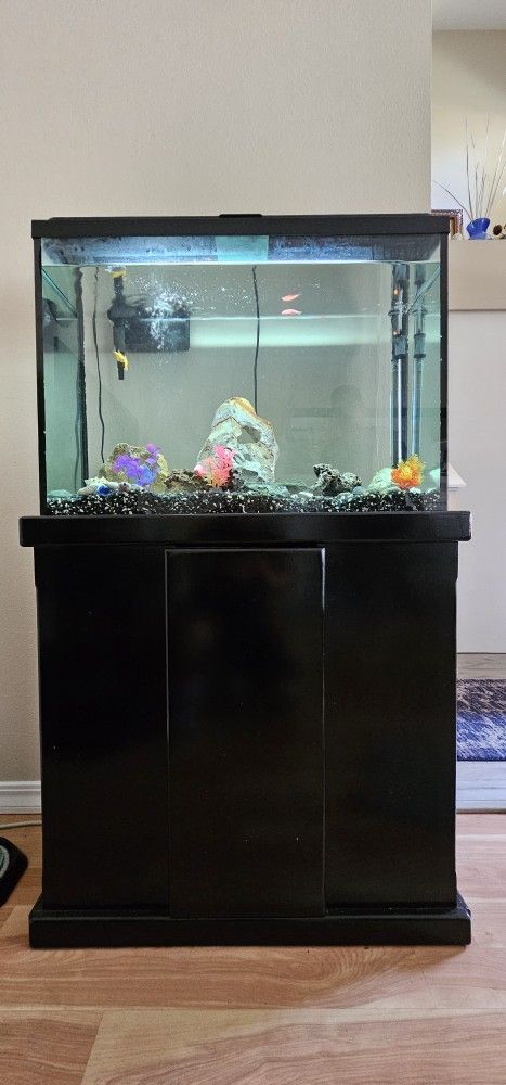 29 gal aquarium
