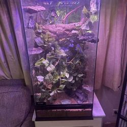 Glass Reptile Enclosure