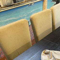 8 Pottery Barn Chairs Beige Cover Black Legs 