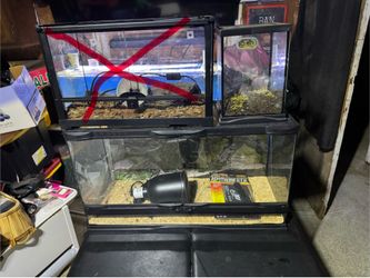 Reptile tanks and supply
