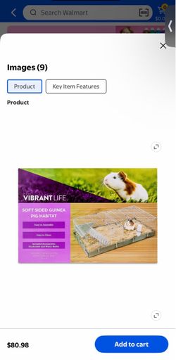 Cage // Guinea pig