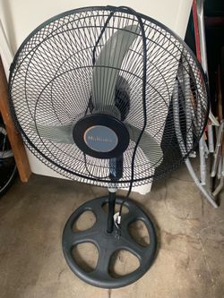Fan