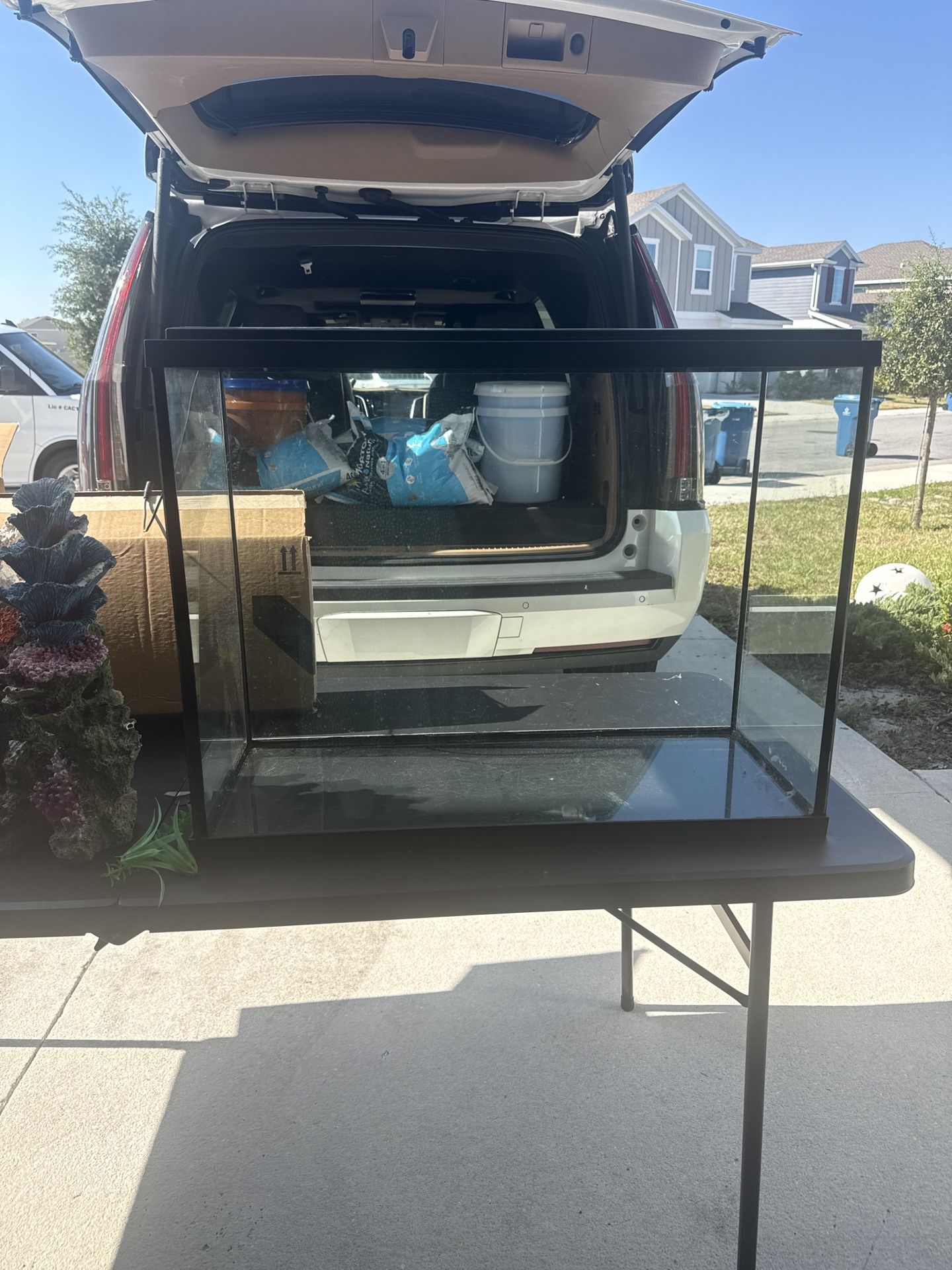 🐠 Fish tank / 🐠Pecera