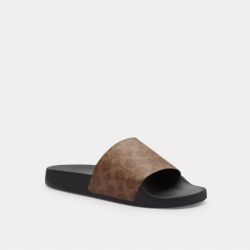 brand new coach slides