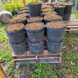 SUPERGROW Fertilizer Mulch 7g