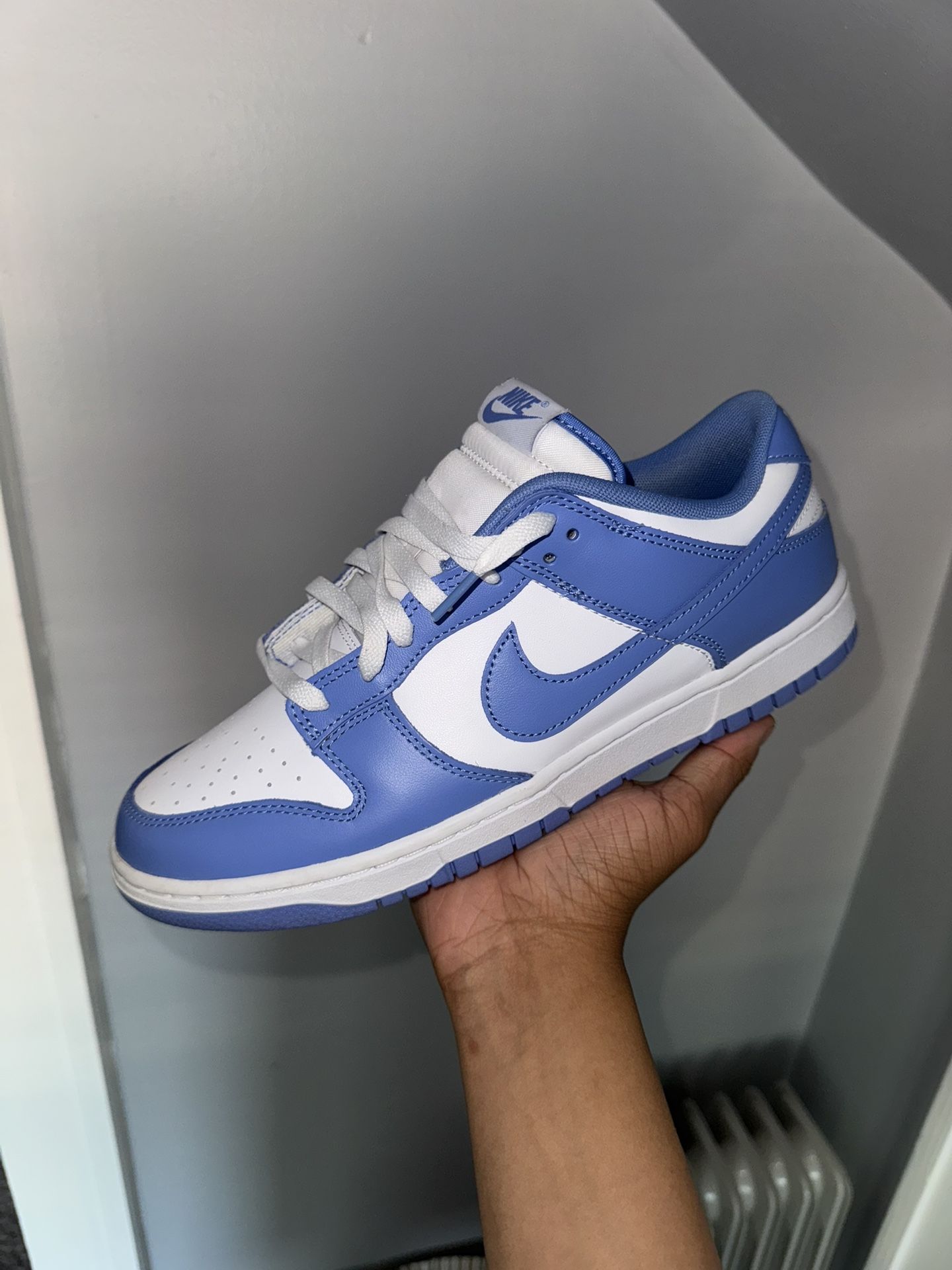 Nike Dunks Polar