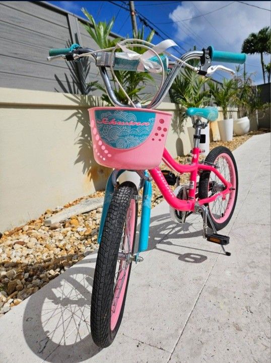 Schwinn Kids Bike (1)