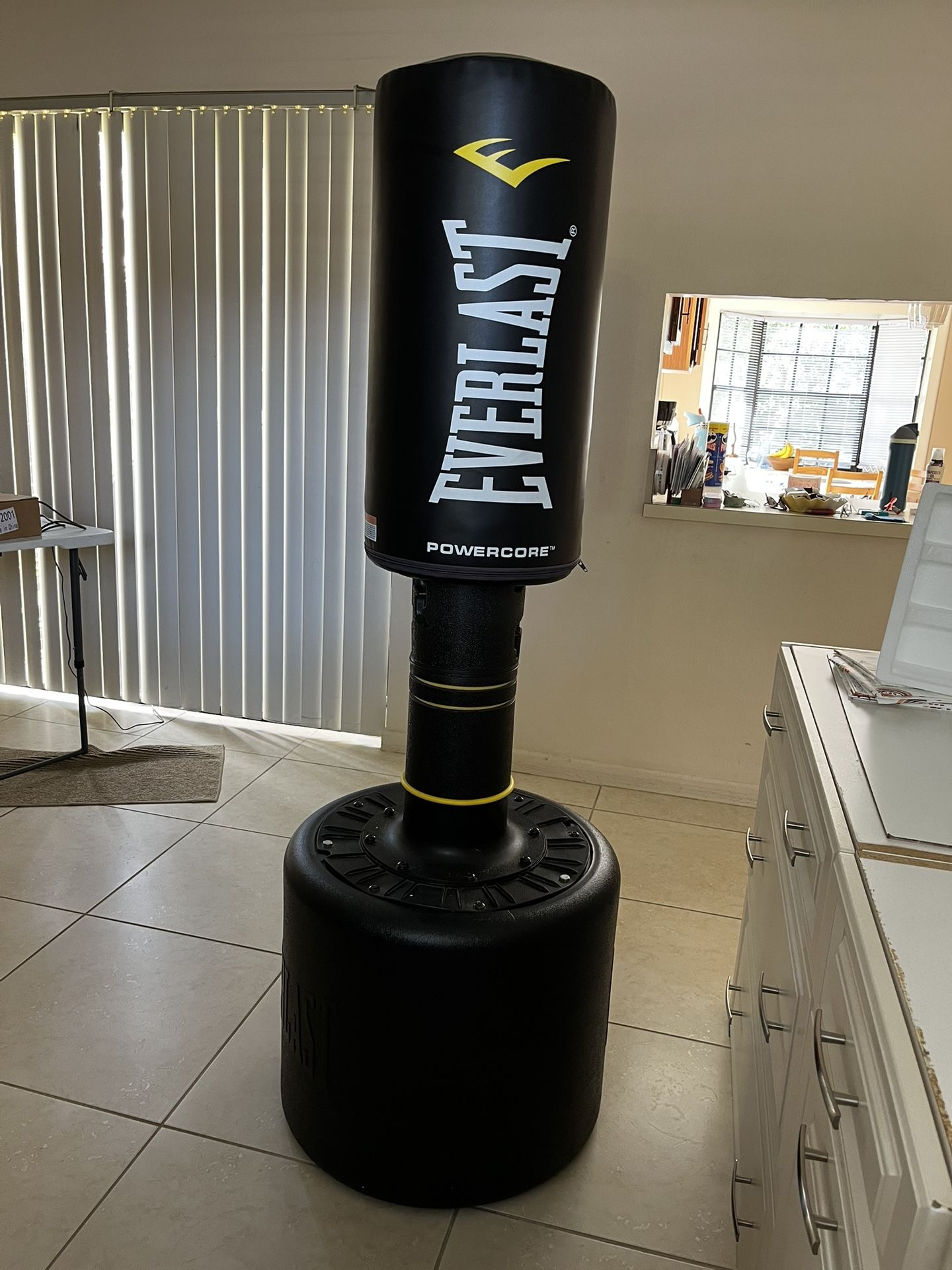Everlast Punching Bag