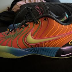 Nike LeBron 21 Multicolor 