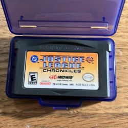 Nintendo gay boy advance