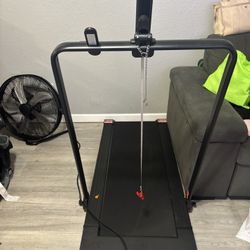 Treadmill/ Caminadora 