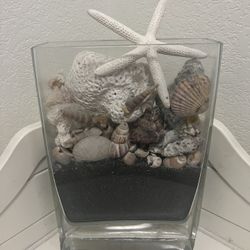 Pottery Barn Large Glass Holder and Shells . Accepting Offers!! 