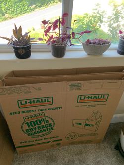 Moving boxes (mirrors, framed art etc)