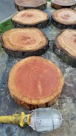 Tree rounds