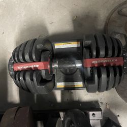 Dumbbells bow flex