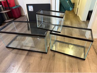 Fish tanks