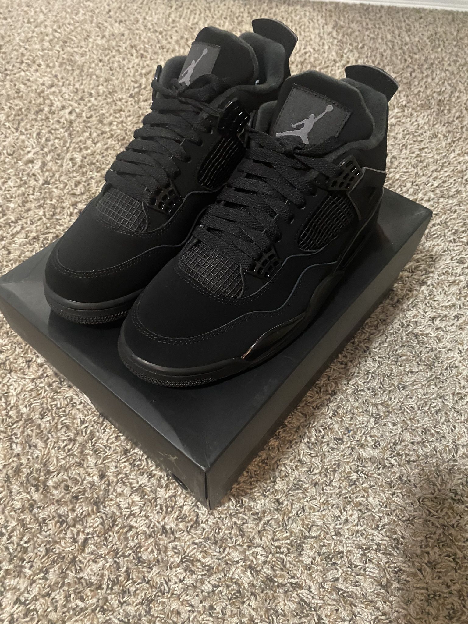 Black Cat Jordan 4s