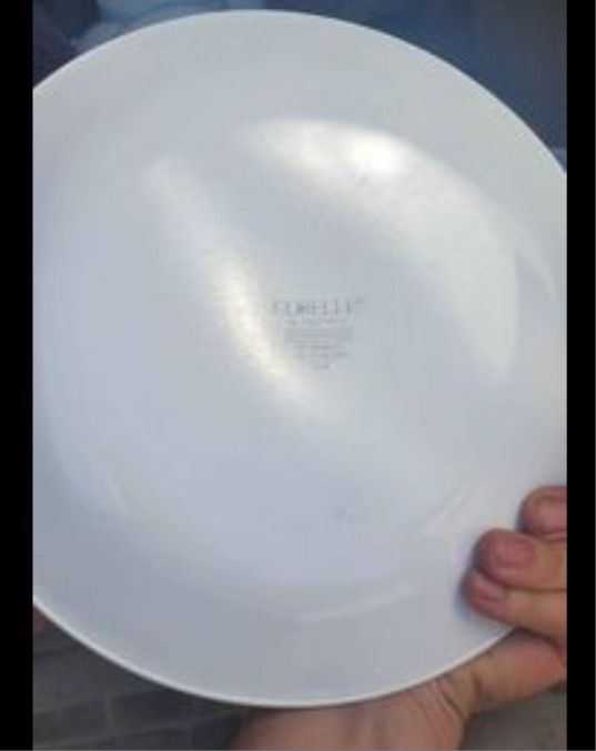 Corelle Vintage Rare By Corning APRICOT GROVE Set Of 17 Dinner