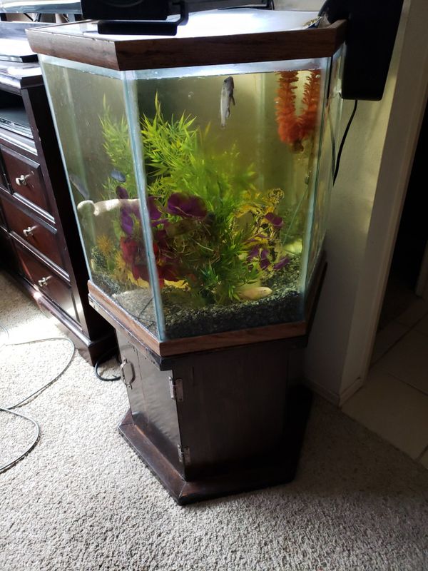 35 gallon hexagonal fish tank with heater, gravel, filter