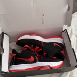 Nike LeBron Witness V Size 13