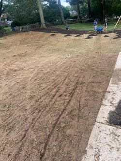 Fresh sod