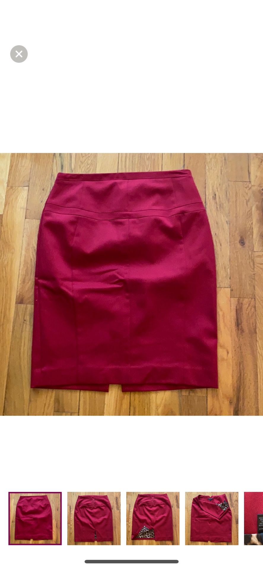 Express Pencil Skirt