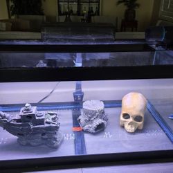 40 Gal Fish Aquarium With Everything You Need