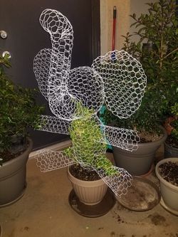 Teddy Elephant Topiary Plant - 36"