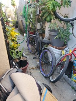 Women Bike