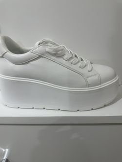 Steve Madden Sneakers