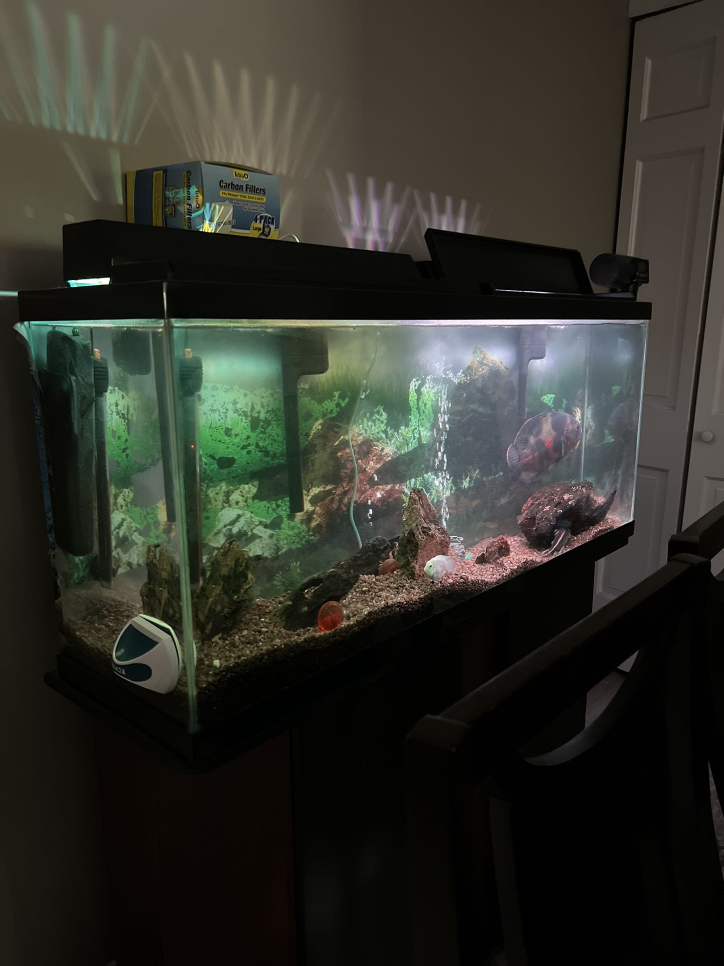 Fish Tank With Stand Pick Up Only